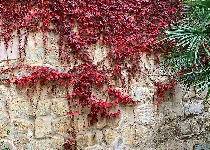 La Maison Galiene Bed & Breakfast Bordeaux